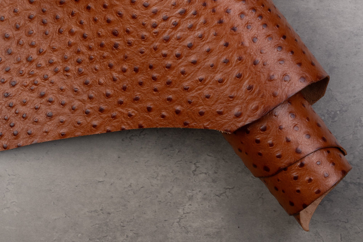 Brown embossed ostritch leather with a textured pattern on a gray surface